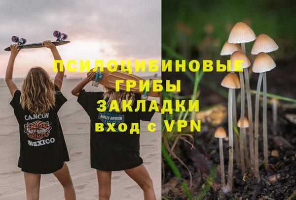мескалин Богданович