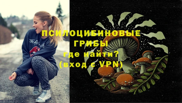 мескалин Богданович