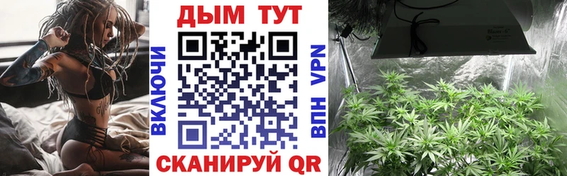 Бошки марихуана OG Kush  kraken ССЫЛКА  Бирюсинск 
